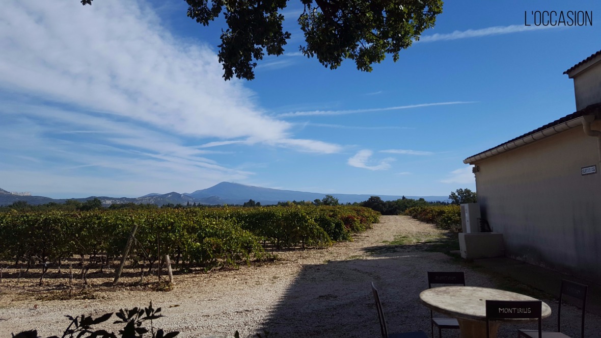 Mount Ventoux, Biodynamic Vineyards, Sarrians, Provence Wine